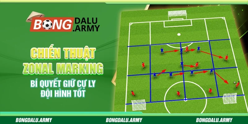 Chiến thuật zonal marking - Bí quyết giữ cự ly đội hình tốt