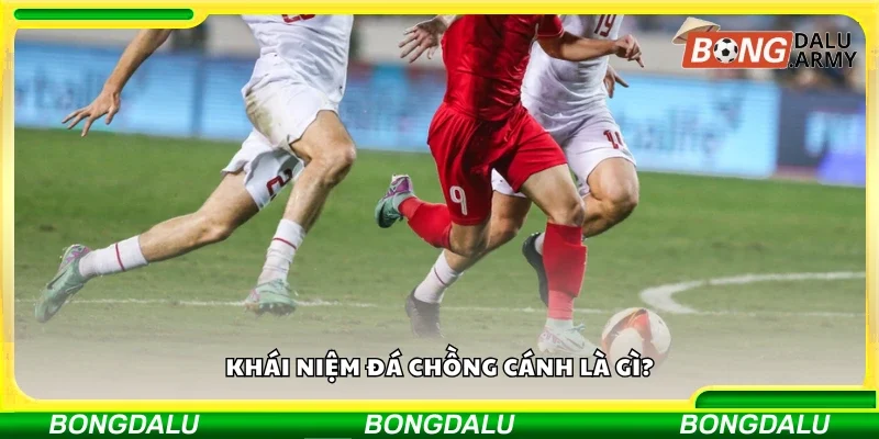 Tìm hiểu khái niệm đá chồng cánh