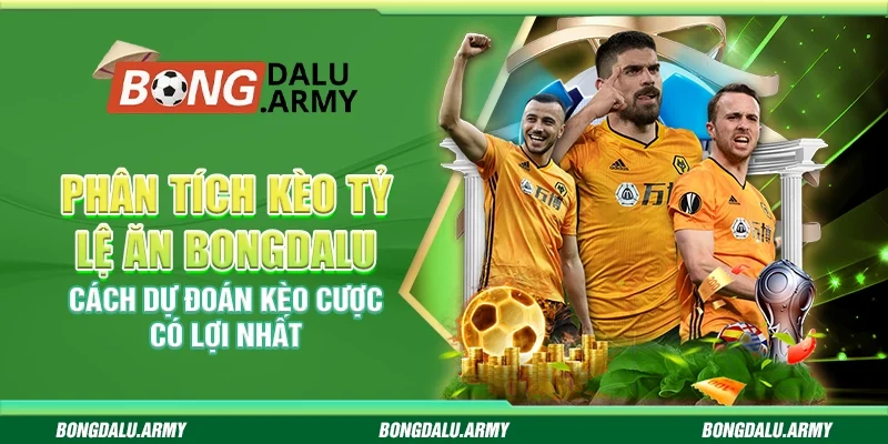 Phân tích kèo tỷ lệ ăn Bongdalu - Cách dự đoán kèo cược có lợi nhất