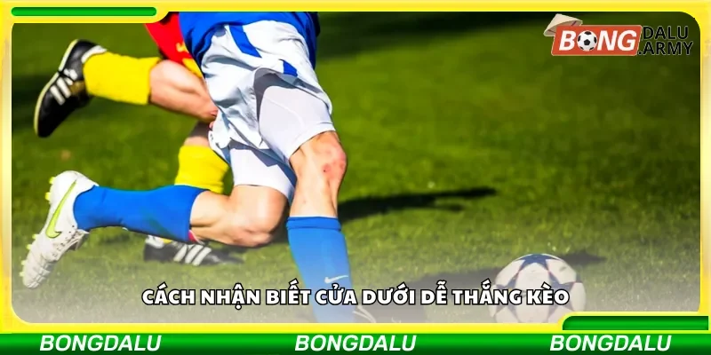 Cách nhận biết cửa dưới dễ thắng kèo