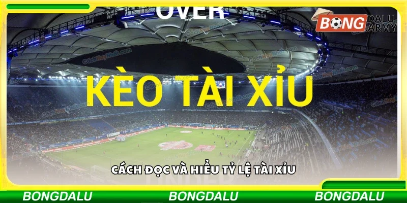 Chi tiết cách đọc và hiểu tỷ lệ Tài Xỉu