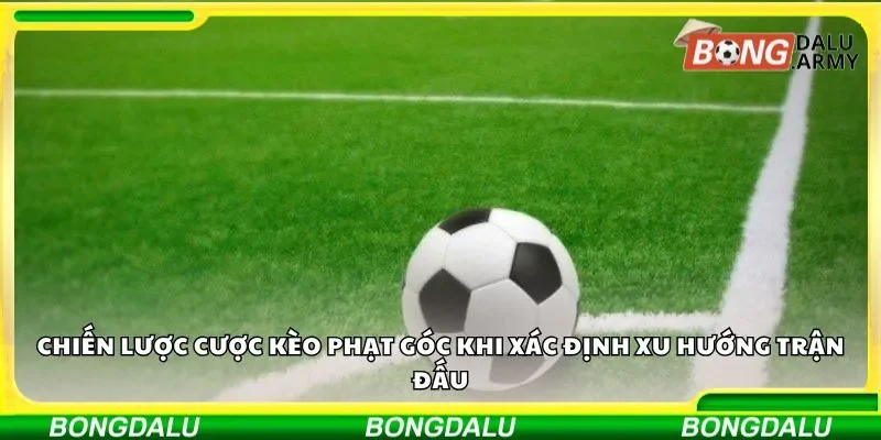 Chiến lược cược kèo phạt góc cần biết trong xu hướng trận đấu