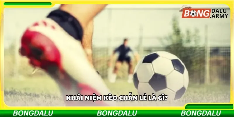 Khái niệm kèo chẵn lẻ là gì?