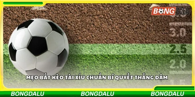 Mẹo bắt kèo tài xỉu chuẩn bí quyết thắng đậm 