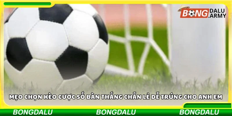 Mẹo chọn kèo cược số bàn thắng chẵn lẻ dễ trúng cho anh em
