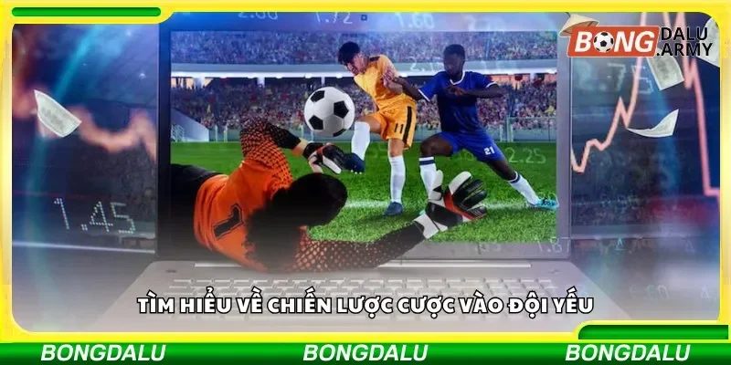 Tìm hiểu về chiến lược cược vào đội yếu