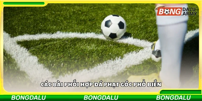 Vài bài phối hợp đá phạt góc 