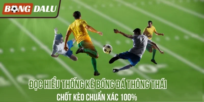 Yếu tố cần nắm kết hợp thống kê dữ liệu